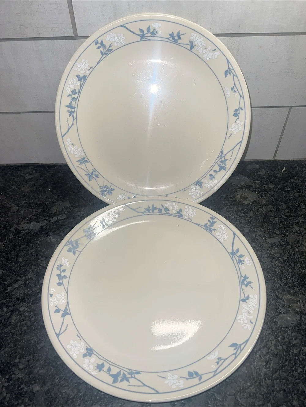 Vintage FIRST OF SPRING Corelle Floral Dinner Plates with Blue Trim - Set of 2